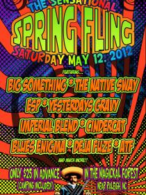 The Sensational Spring Fling | May 12, 2012